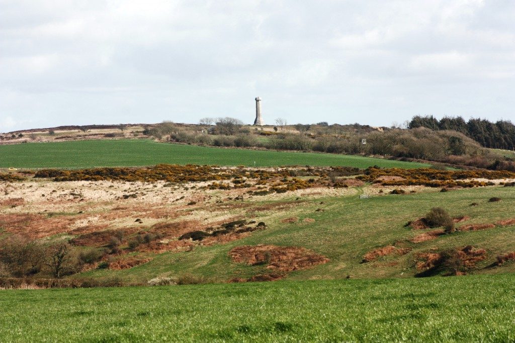 Hardy Monument 