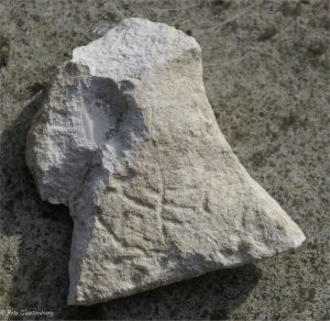Chalk object found by Pete Glastonbury on Windmill hill Wiltshire